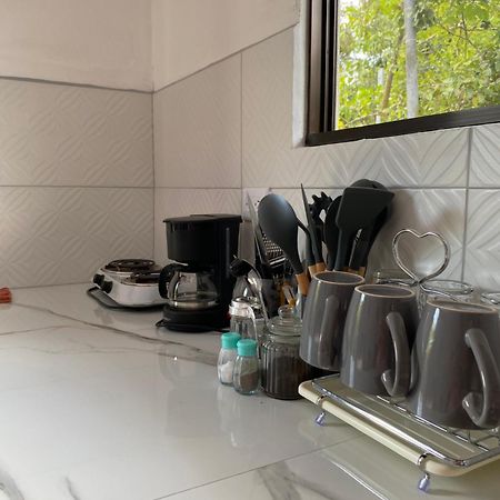 Appartement Anluka-House à Puerto Jiménez Extérieur photo